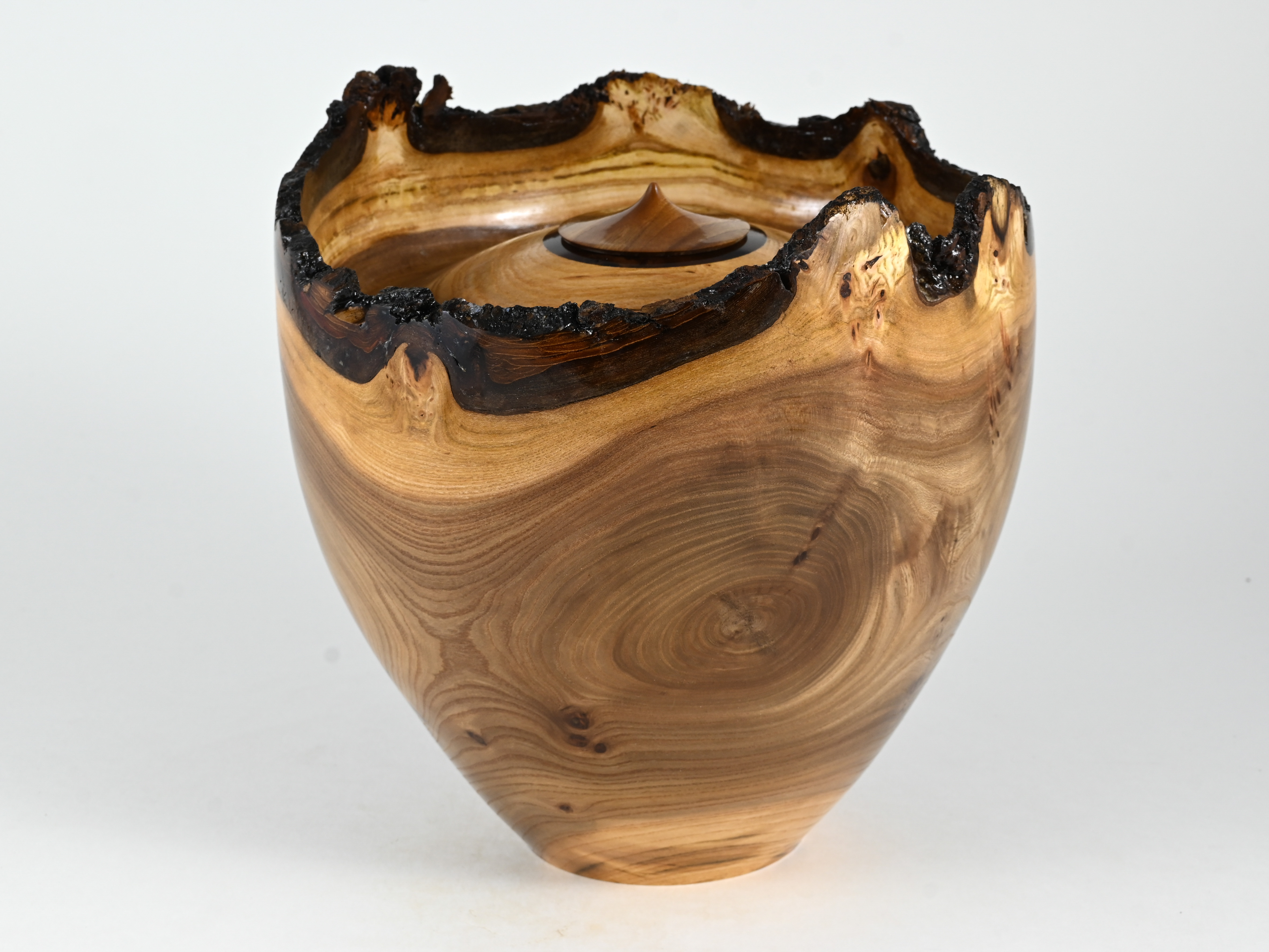 668 Engelse iep -  4 liter