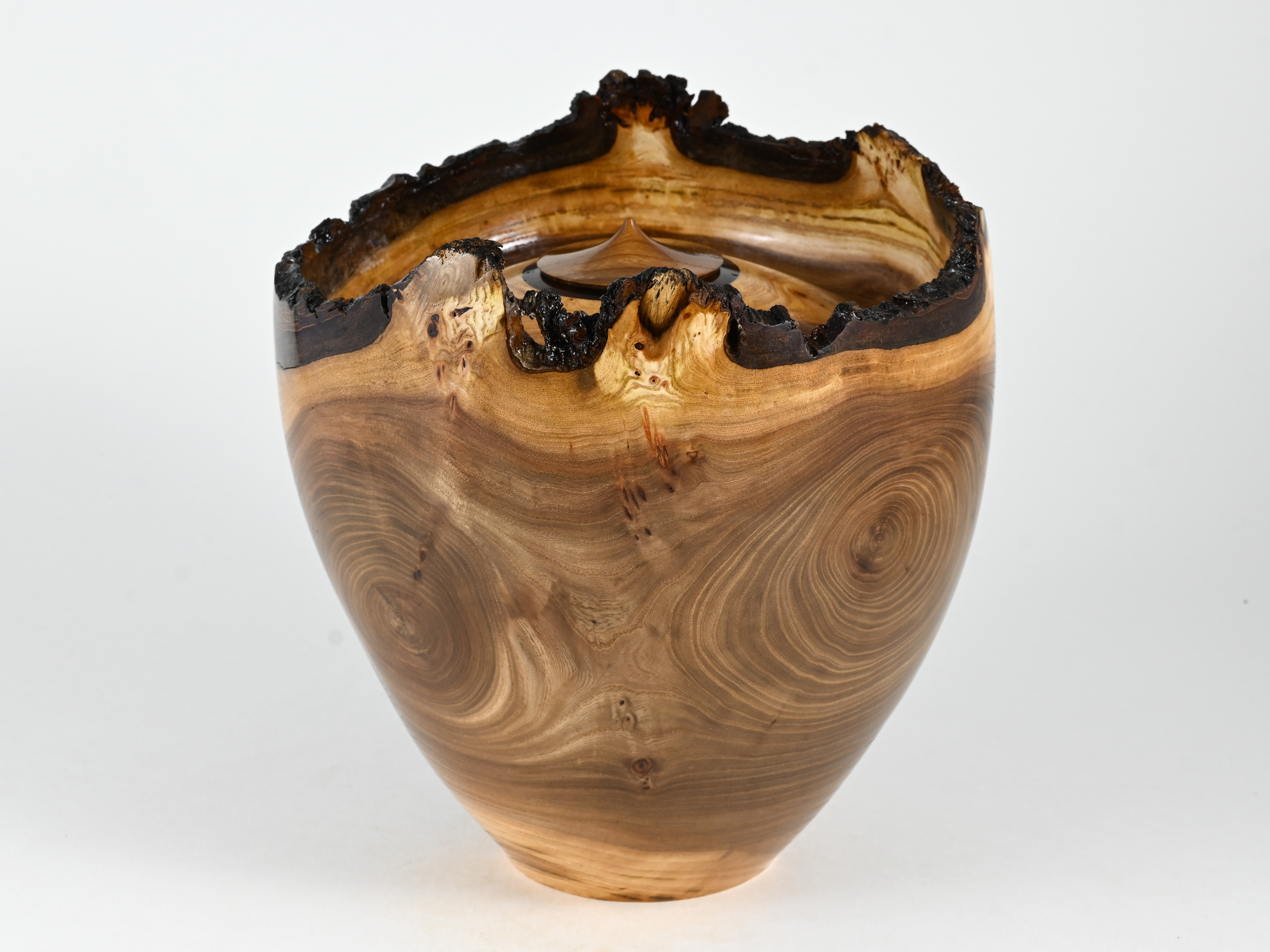 668 Engelse iep -  4 liter