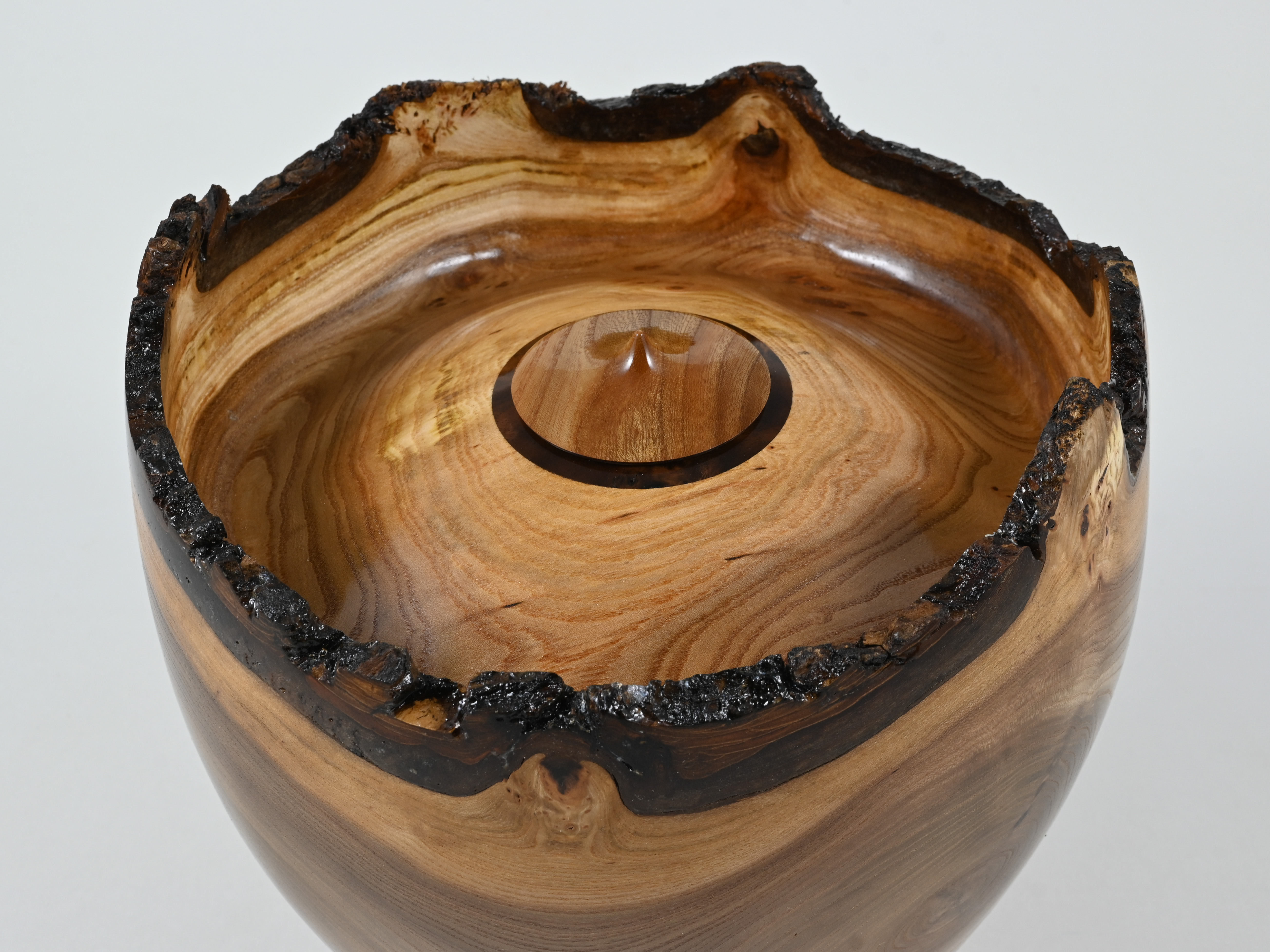 668 Engelse iep -  4 liter