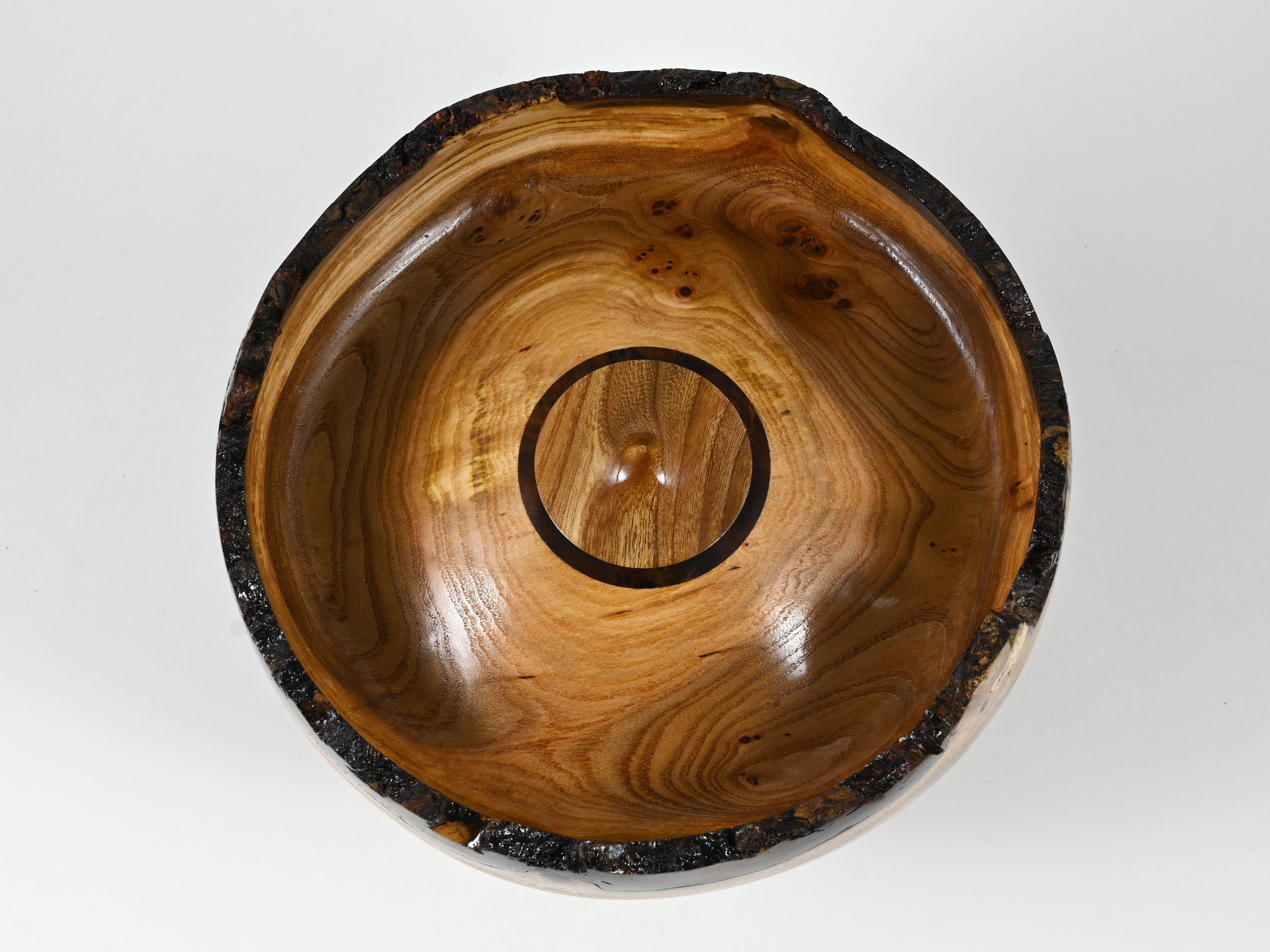 668 Engelse iep -  4 liter