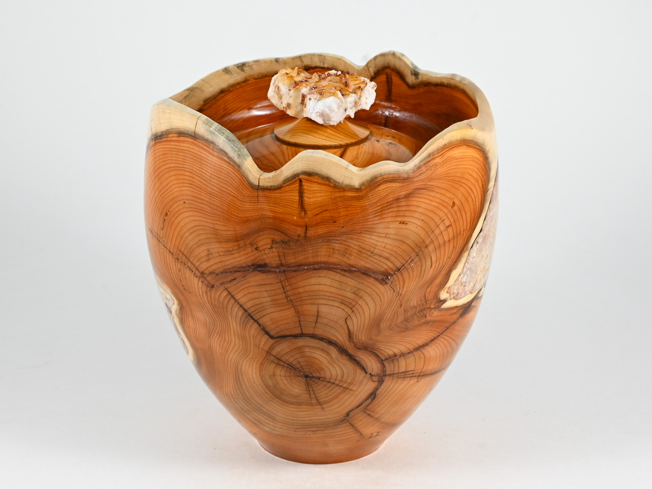 690 taxus - 3,6 liter