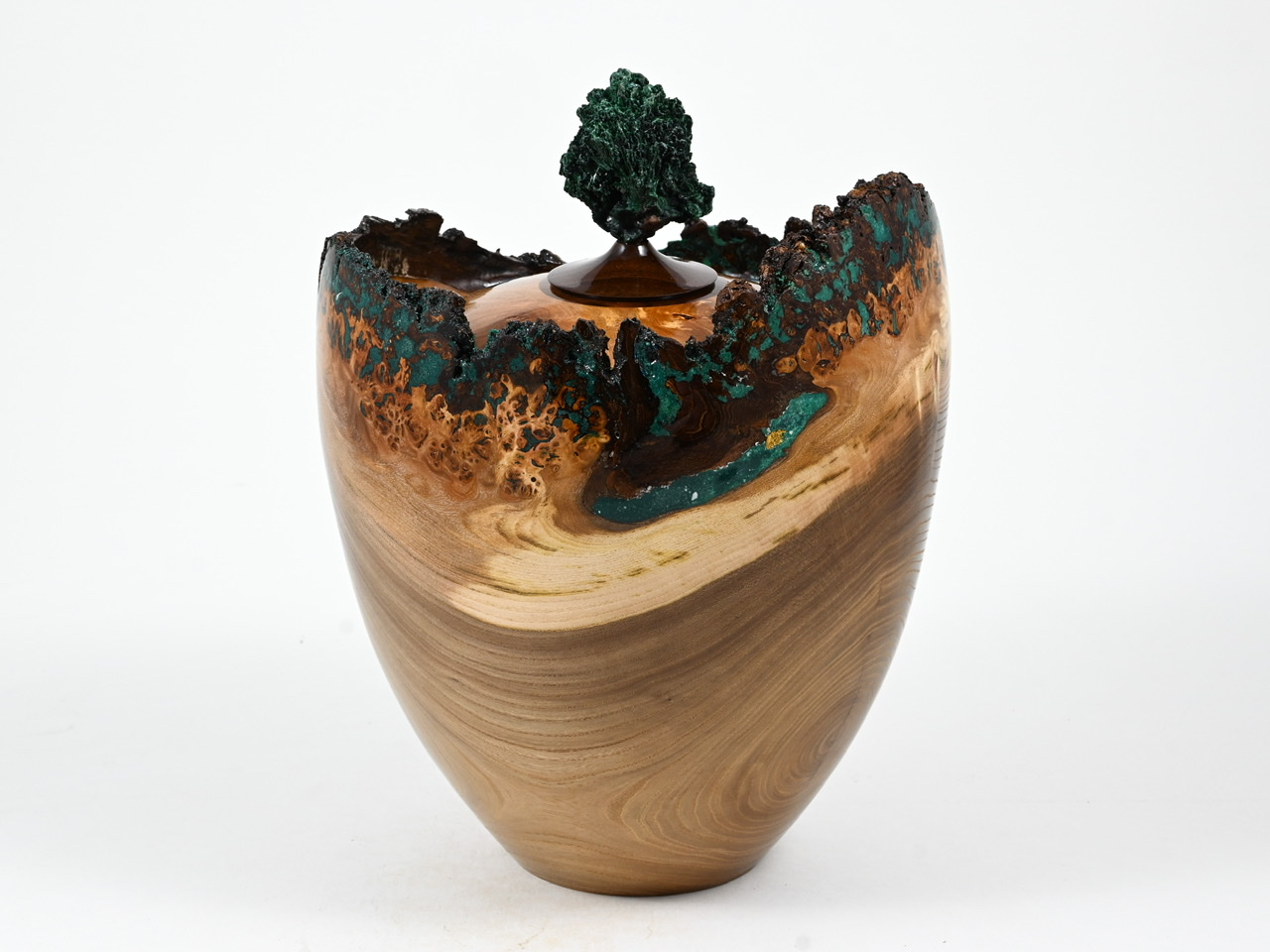 693 Engelse iep - 4 liter