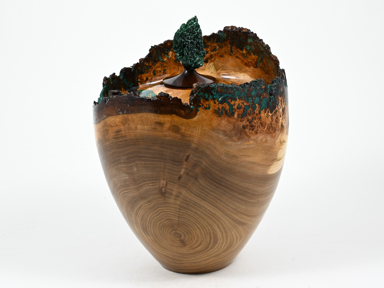 693 Engelse iep - 4 liter