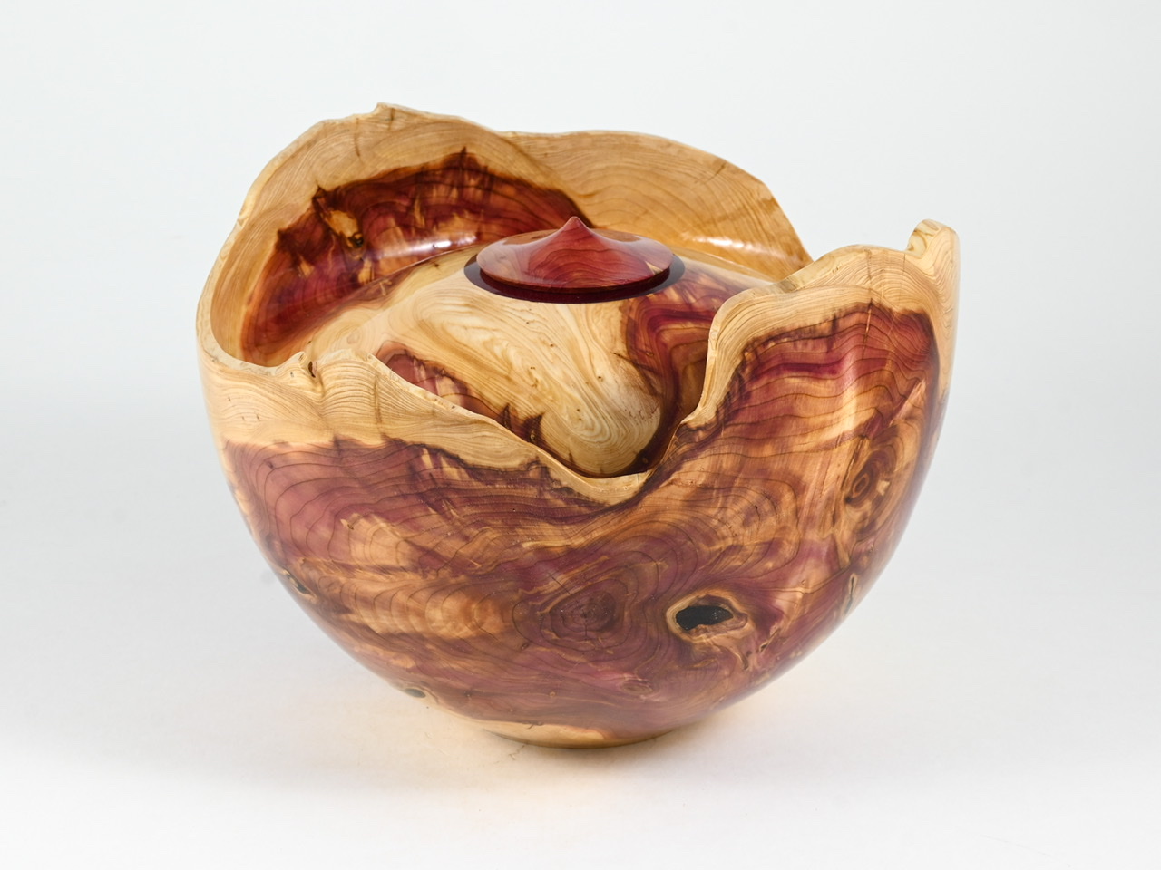 700 jeneverbes - 2,9 liter