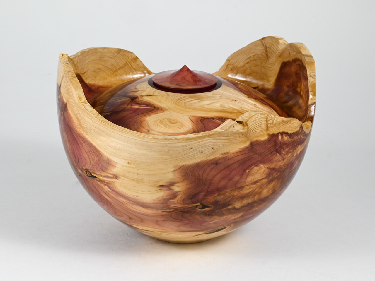 700 jeneverbes - 2,9 liter