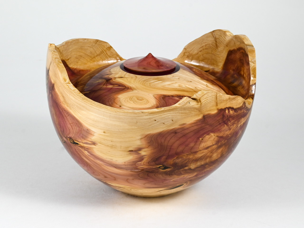 700 jeneverbes - 2,9 liter