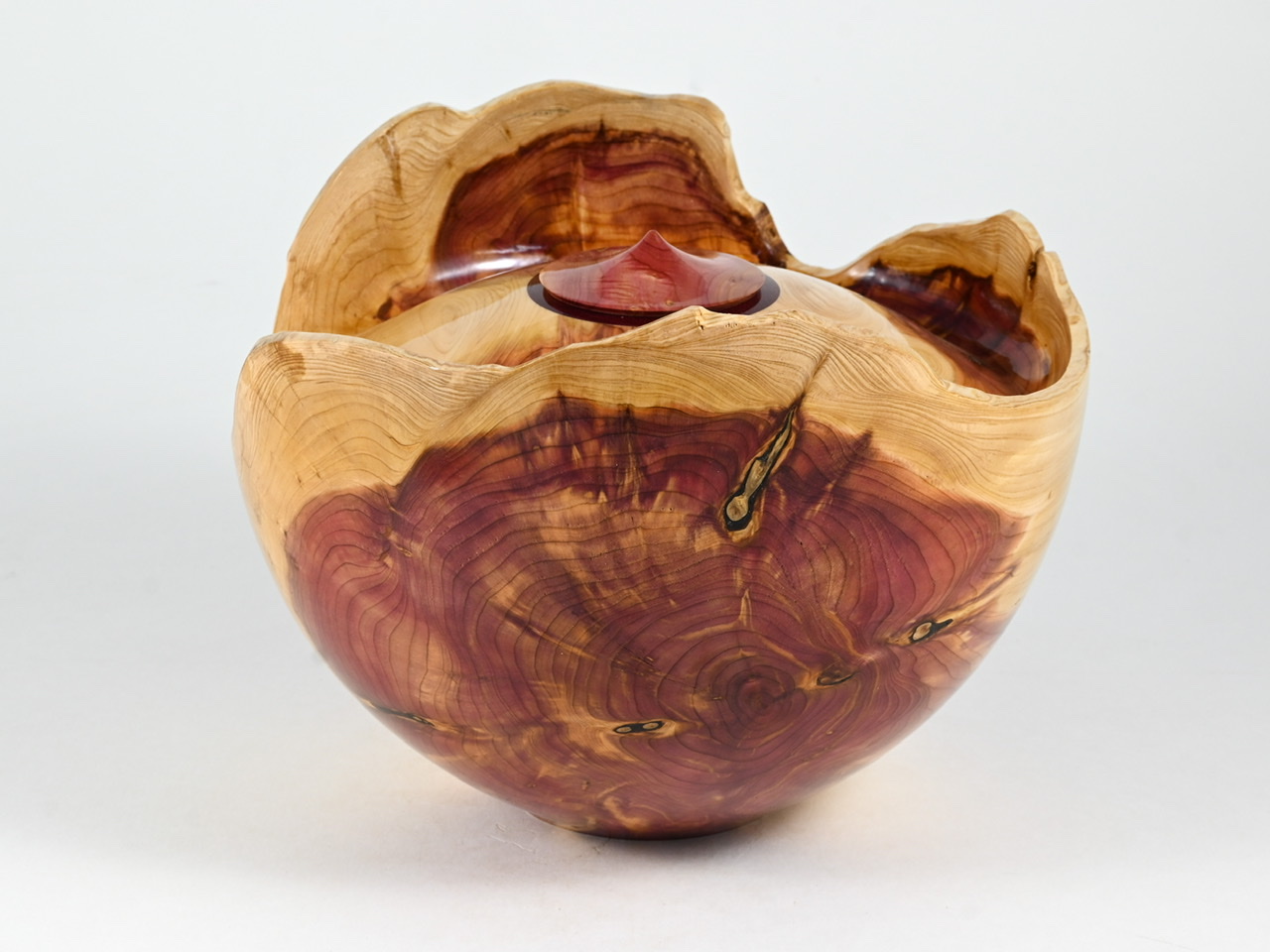 700 jeneverbes - 2,9 liter