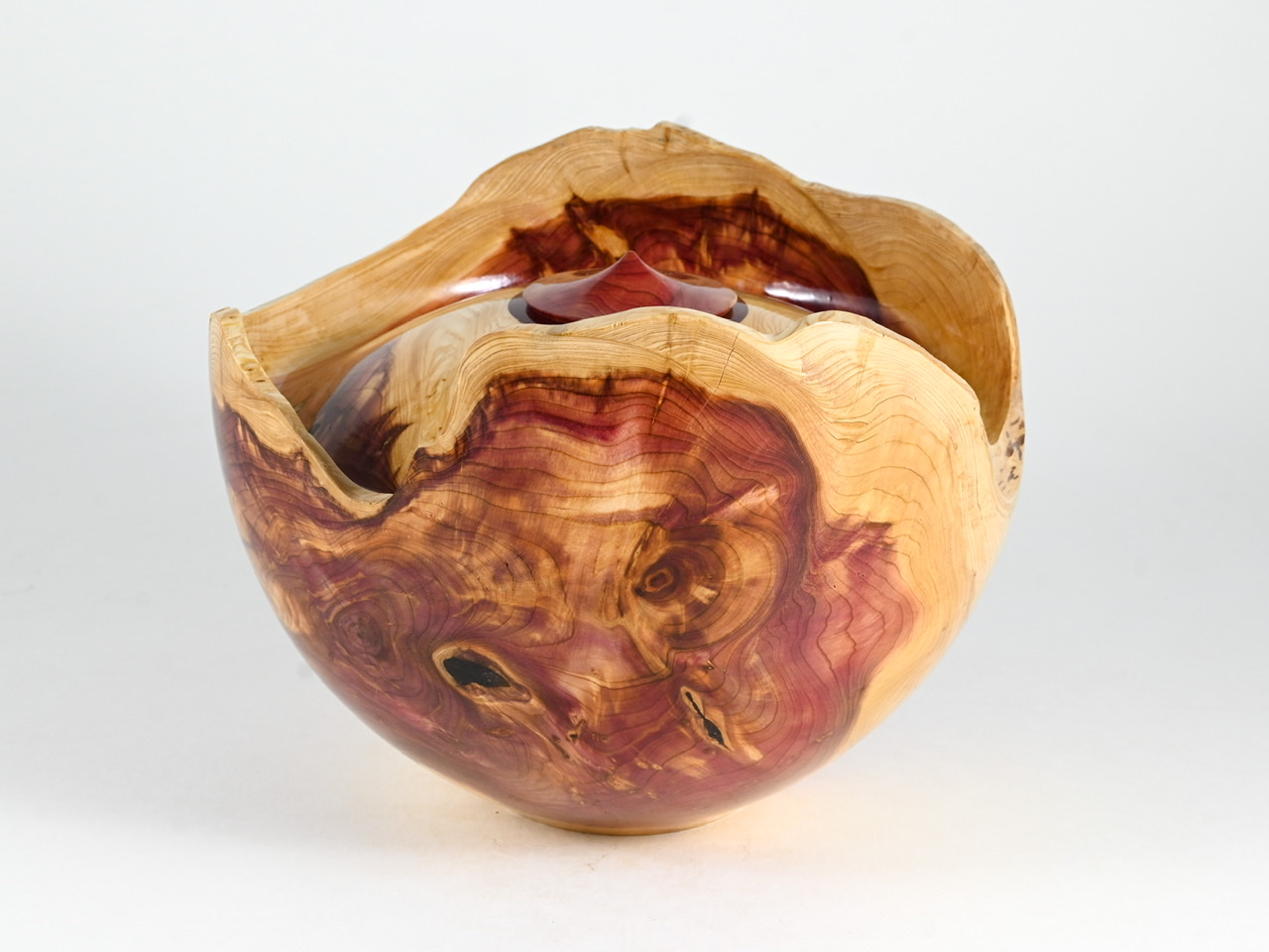 700 jeneverbes - 2,9 liter