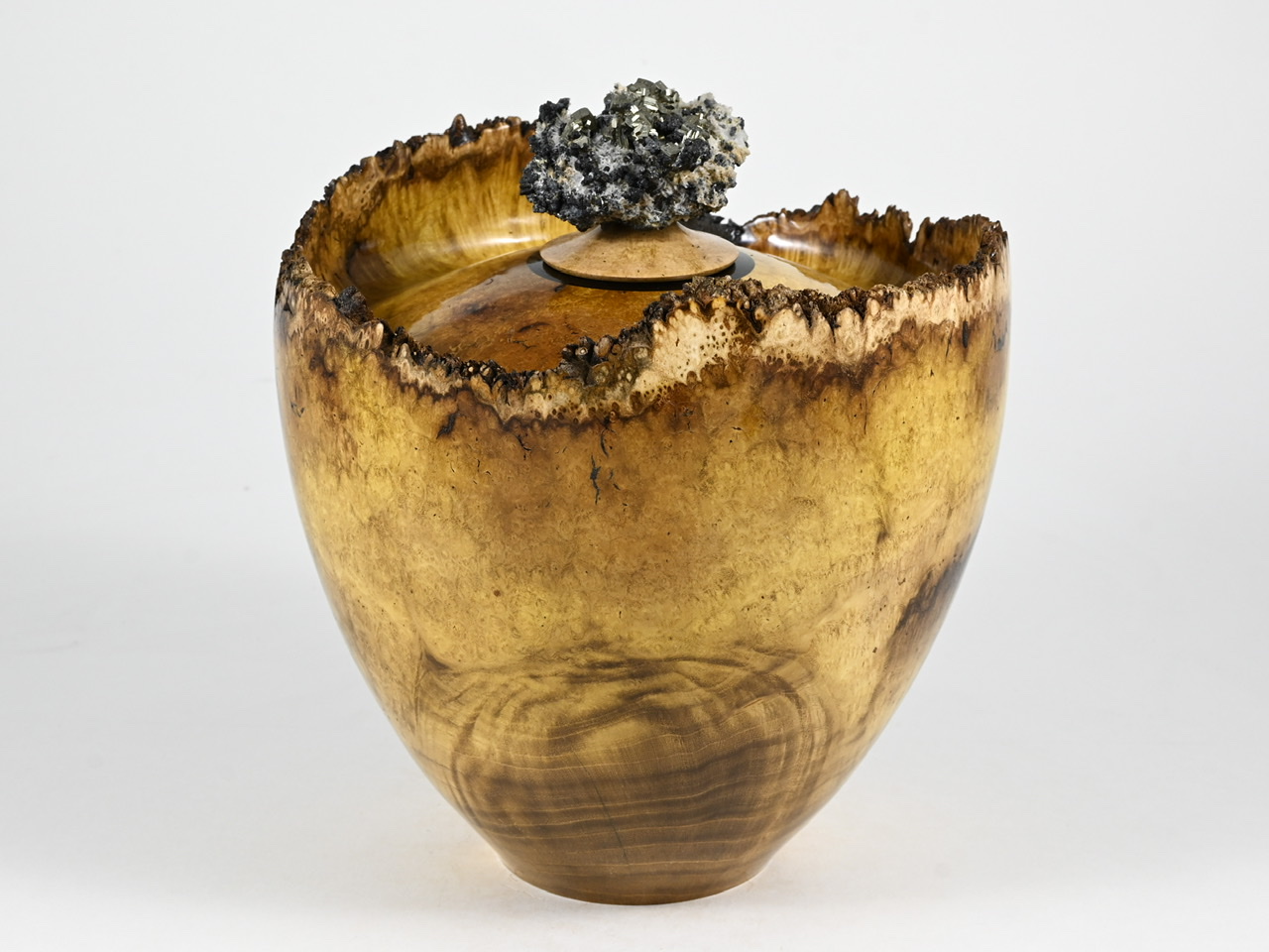 704 robinia -  3,3 liter