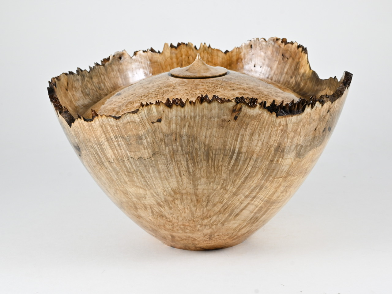 706 esdoorn - 4,3 liter