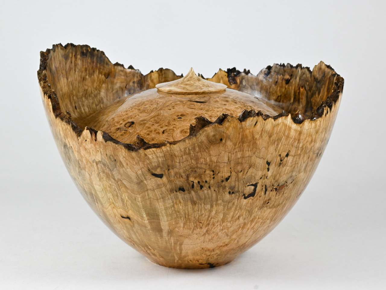 724 esdoorn - 3,7 liter