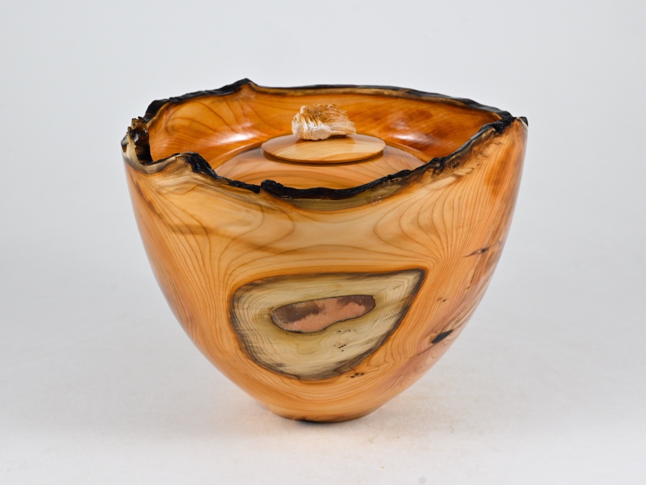 729 taxus - 2,1 liter