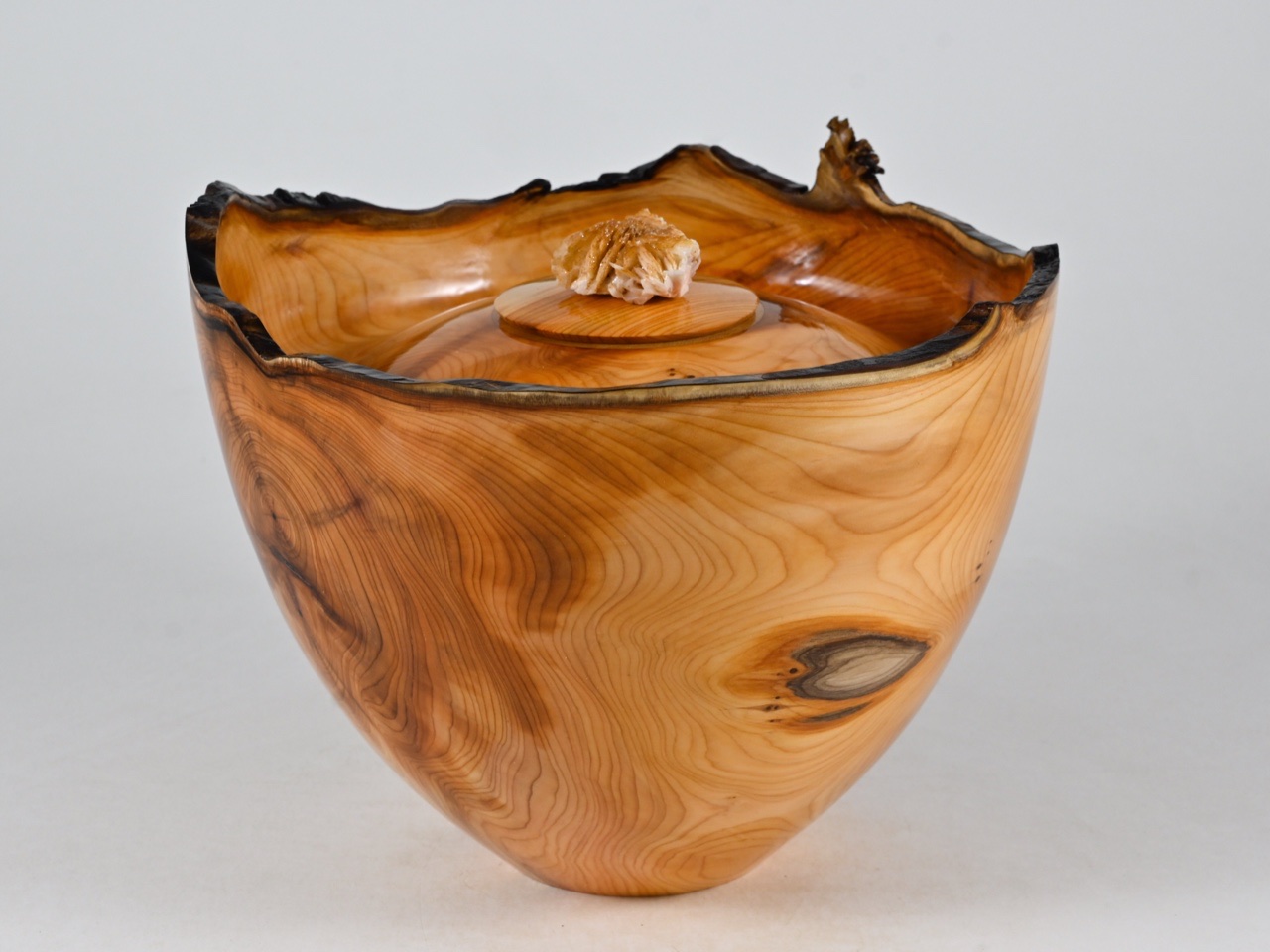 729 taxus - 2,1 liter