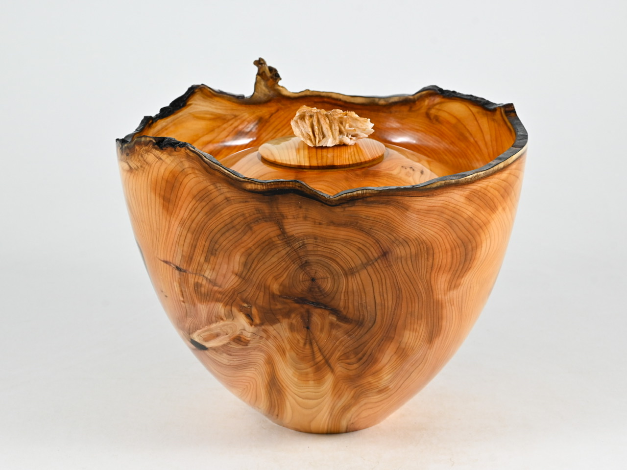 729 taxus - 2,1 liter