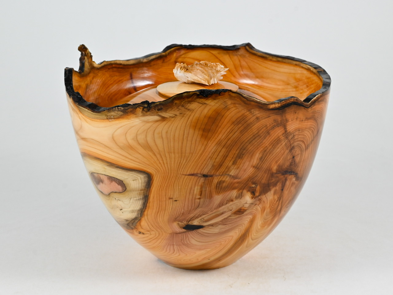 729 taxus - 2,1 liter