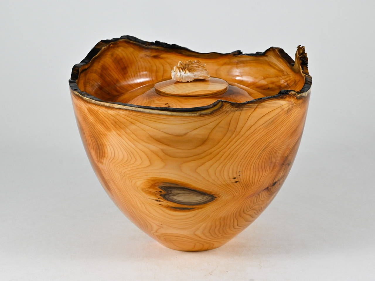 729 taxus - 2,1 liter