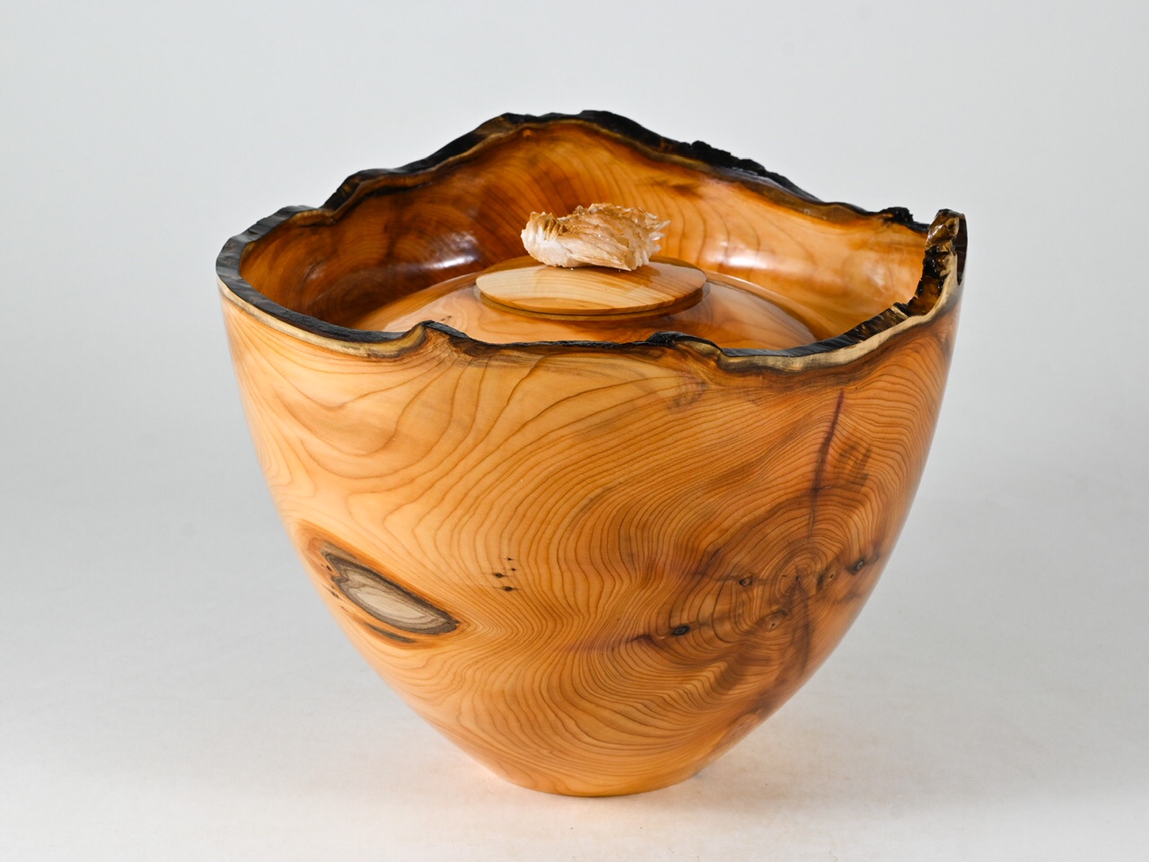 729 taxus - 2,1 liter