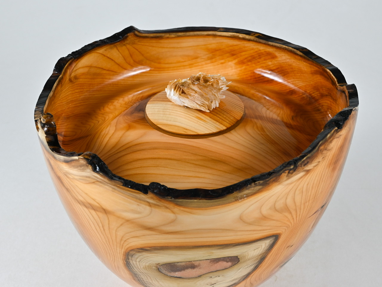 729 taxus - 2,1 liter