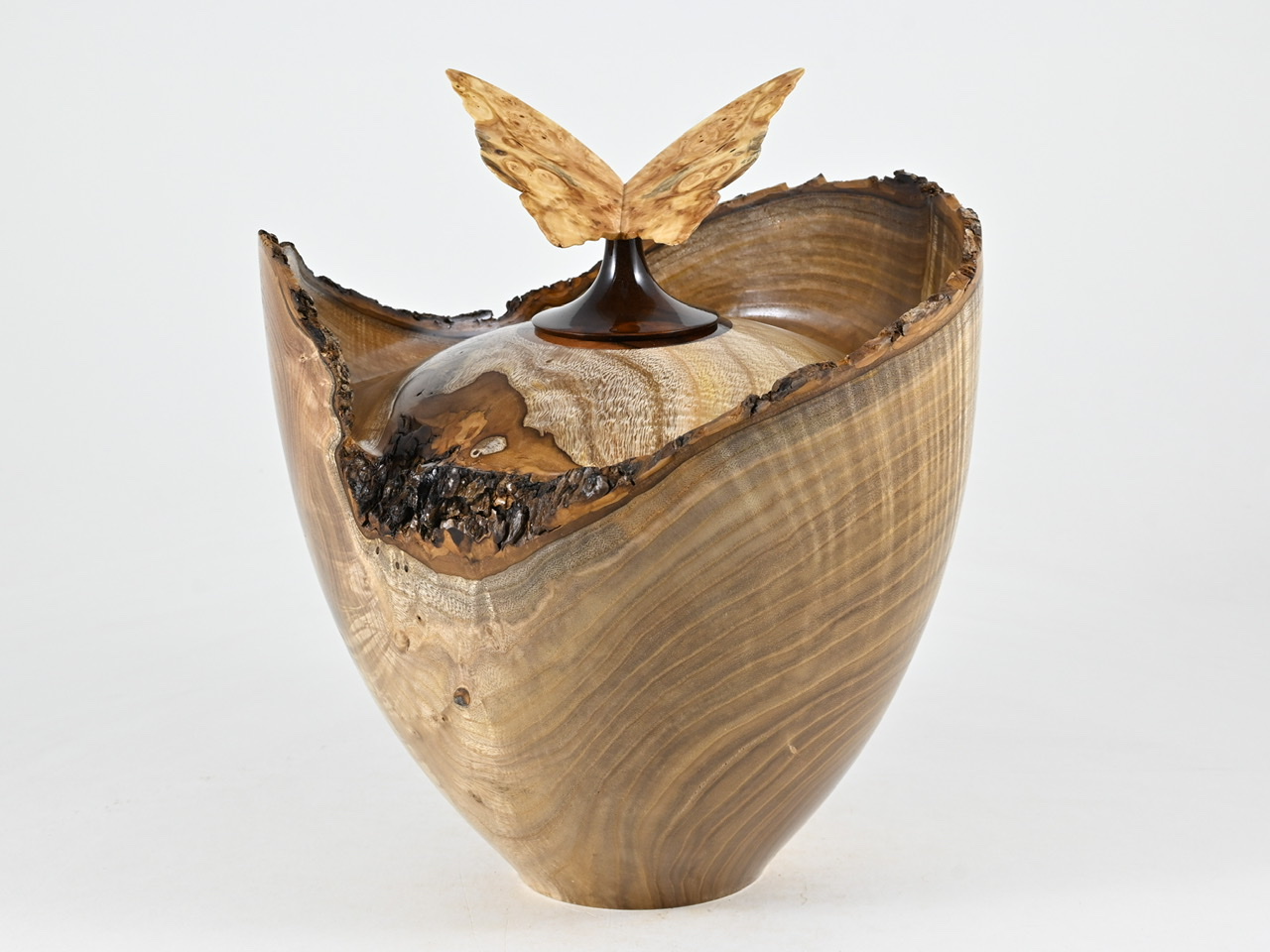 731 catalpa - 2,7 liter