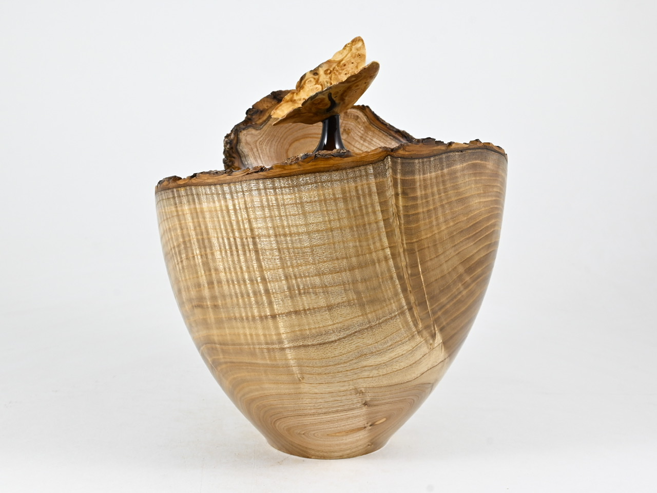 731 catalpa - 2,7 liter