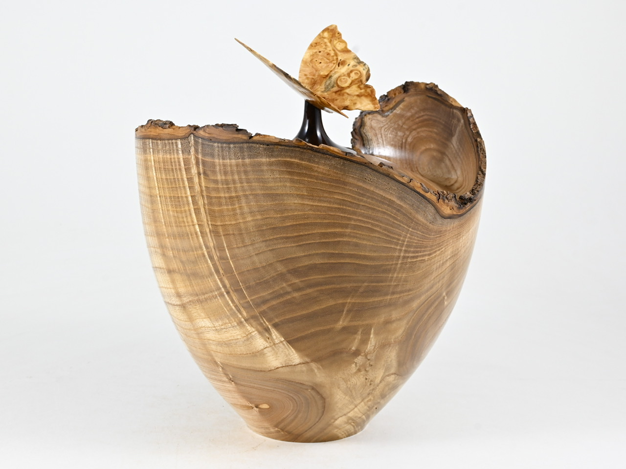 731 catalpa - 2,7 liter