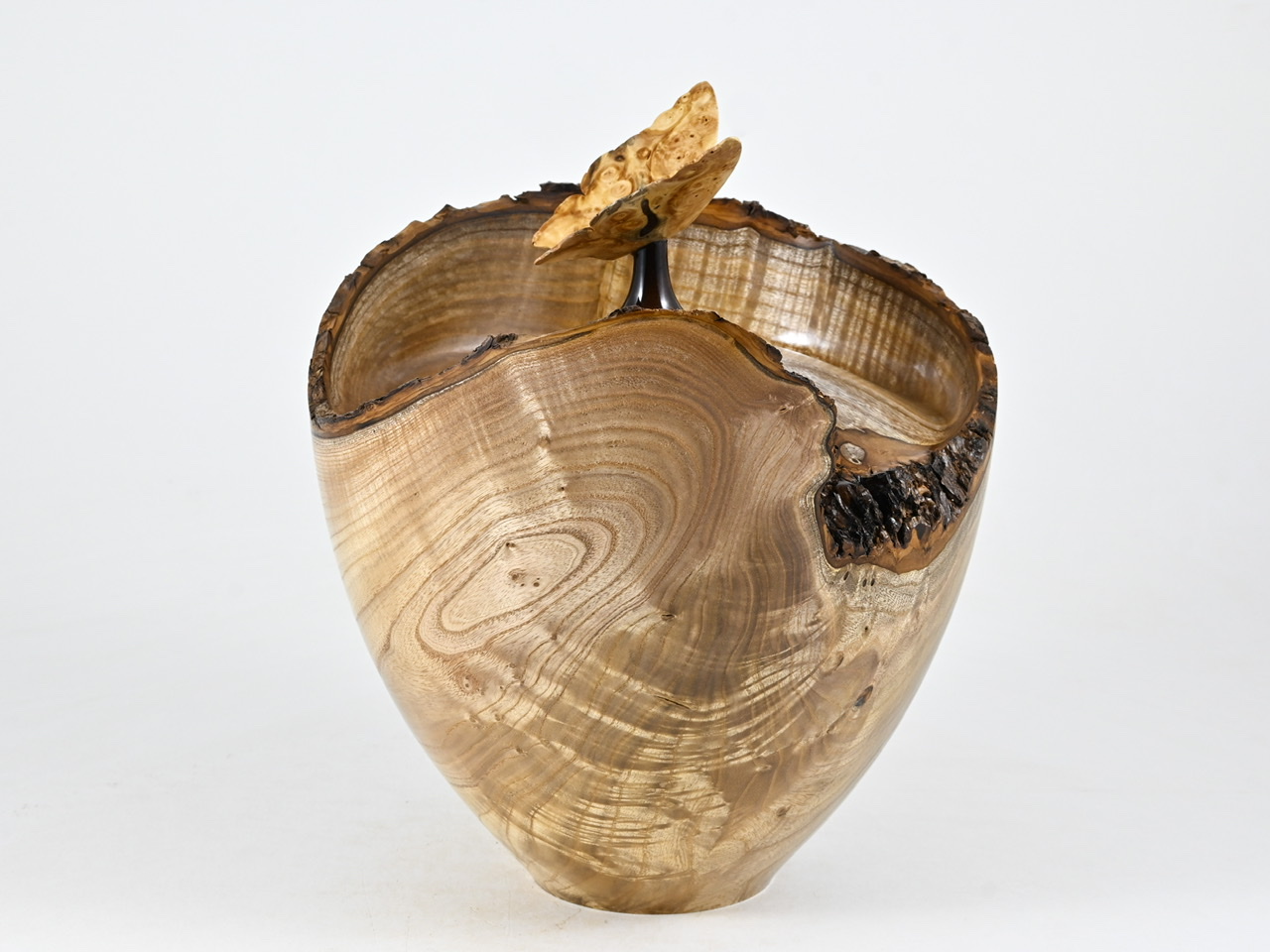 731 catalpa - 2,7 liter