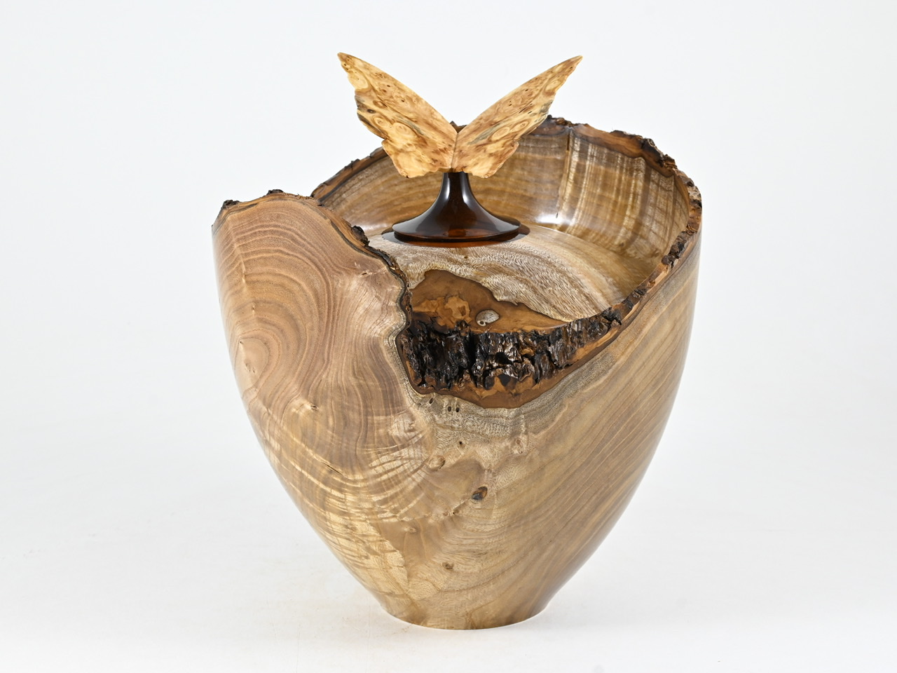 731 catalpa - 2,7 liter