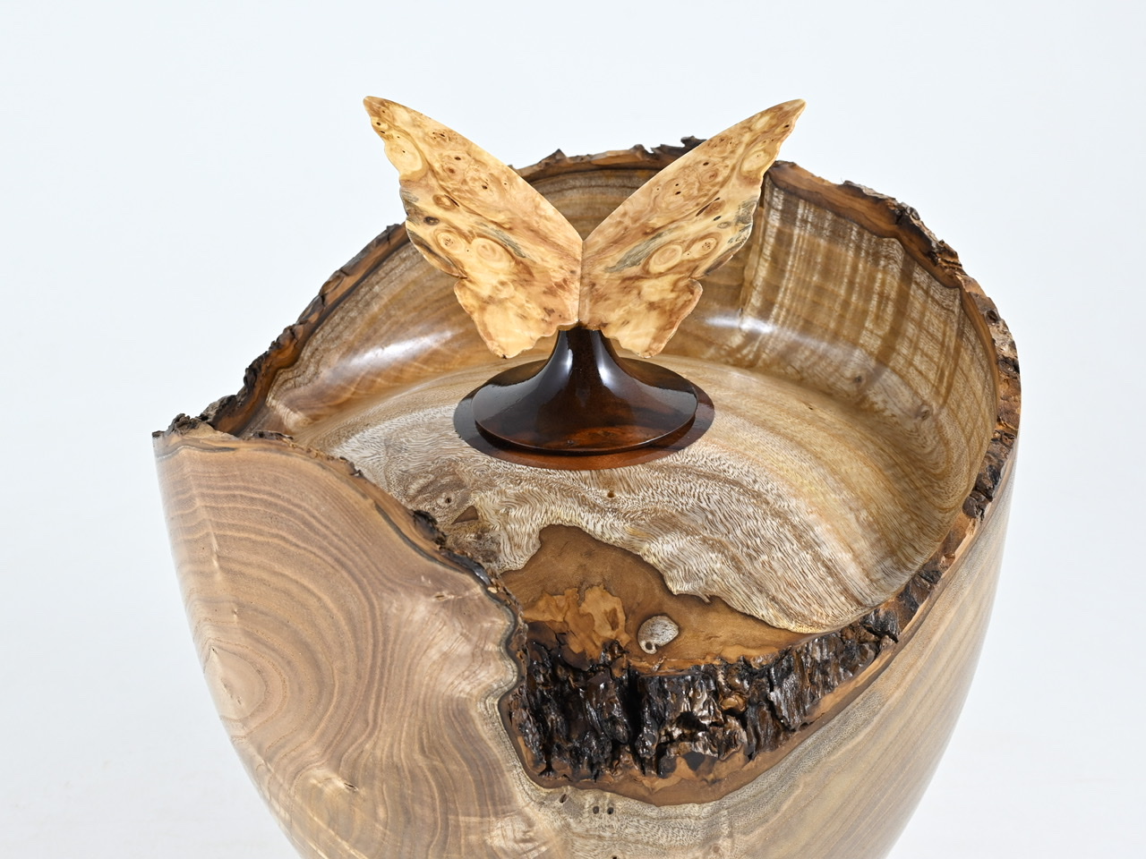 731 catalpa - 2,7 liter