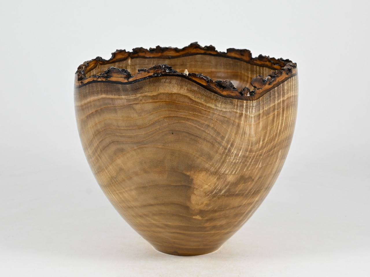 744 catalpa - 2,3 liter