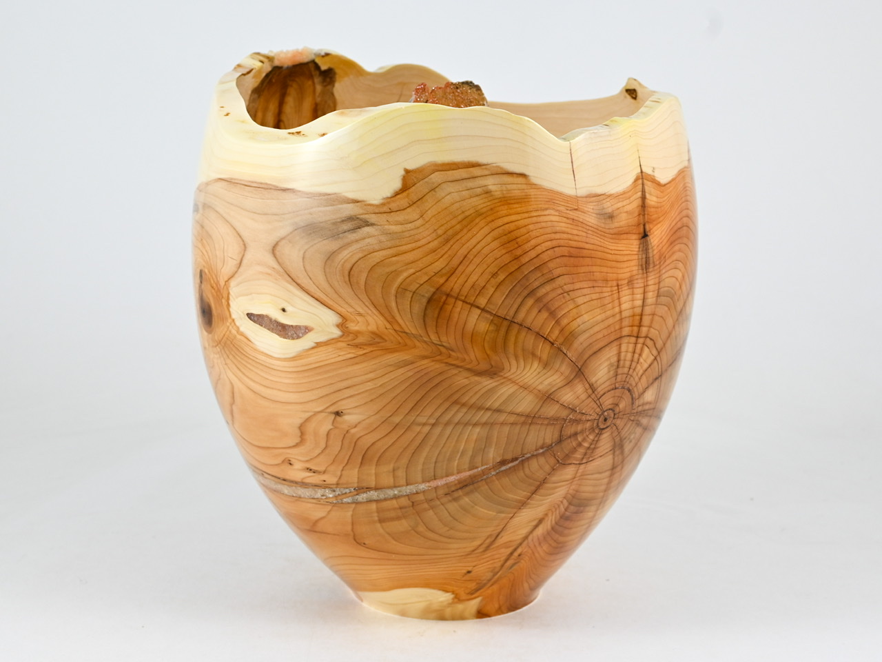 767 taxus - 4,2 liter