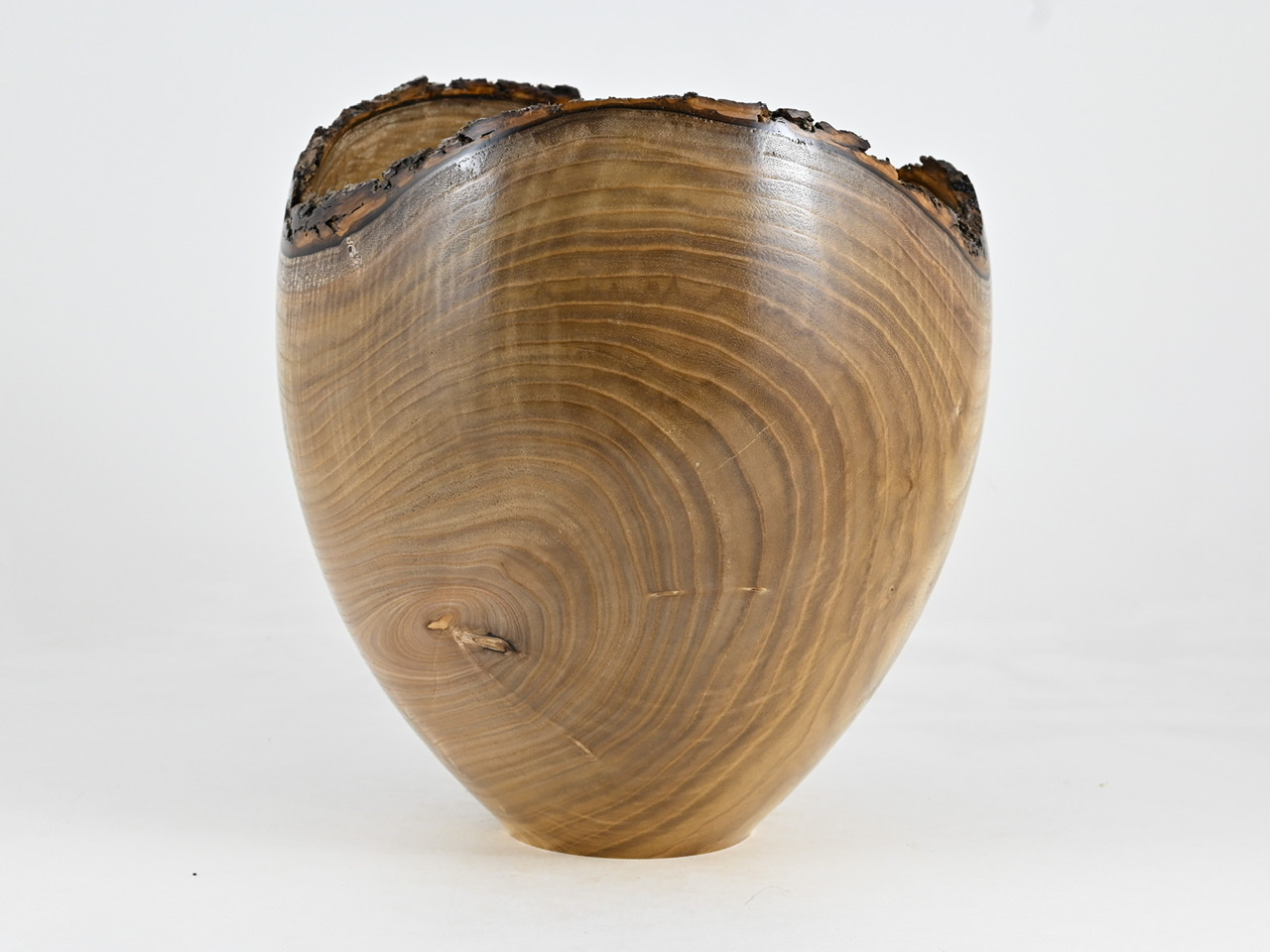 776 catalpa - 6 liter