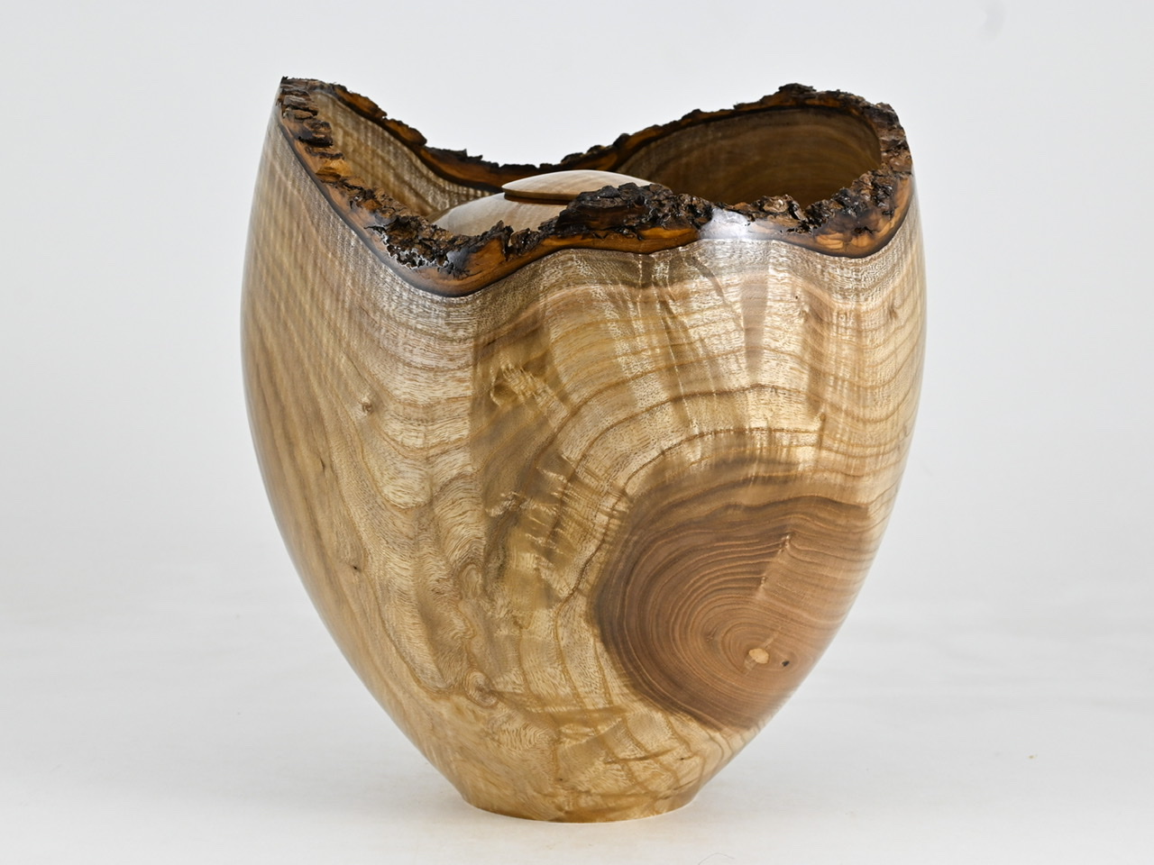 776 catalpa - 6 liter