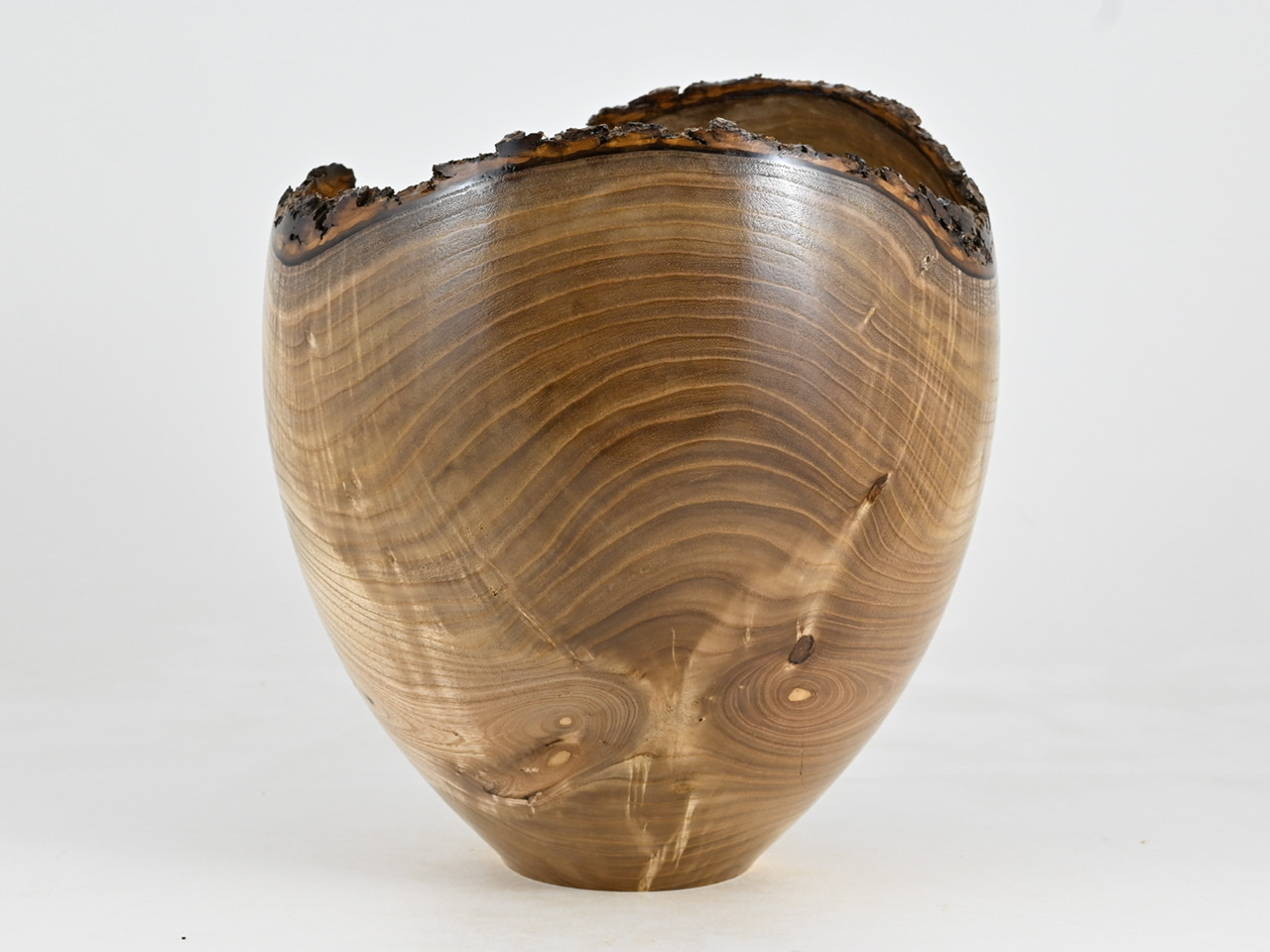 776 catalpa - 6 liter