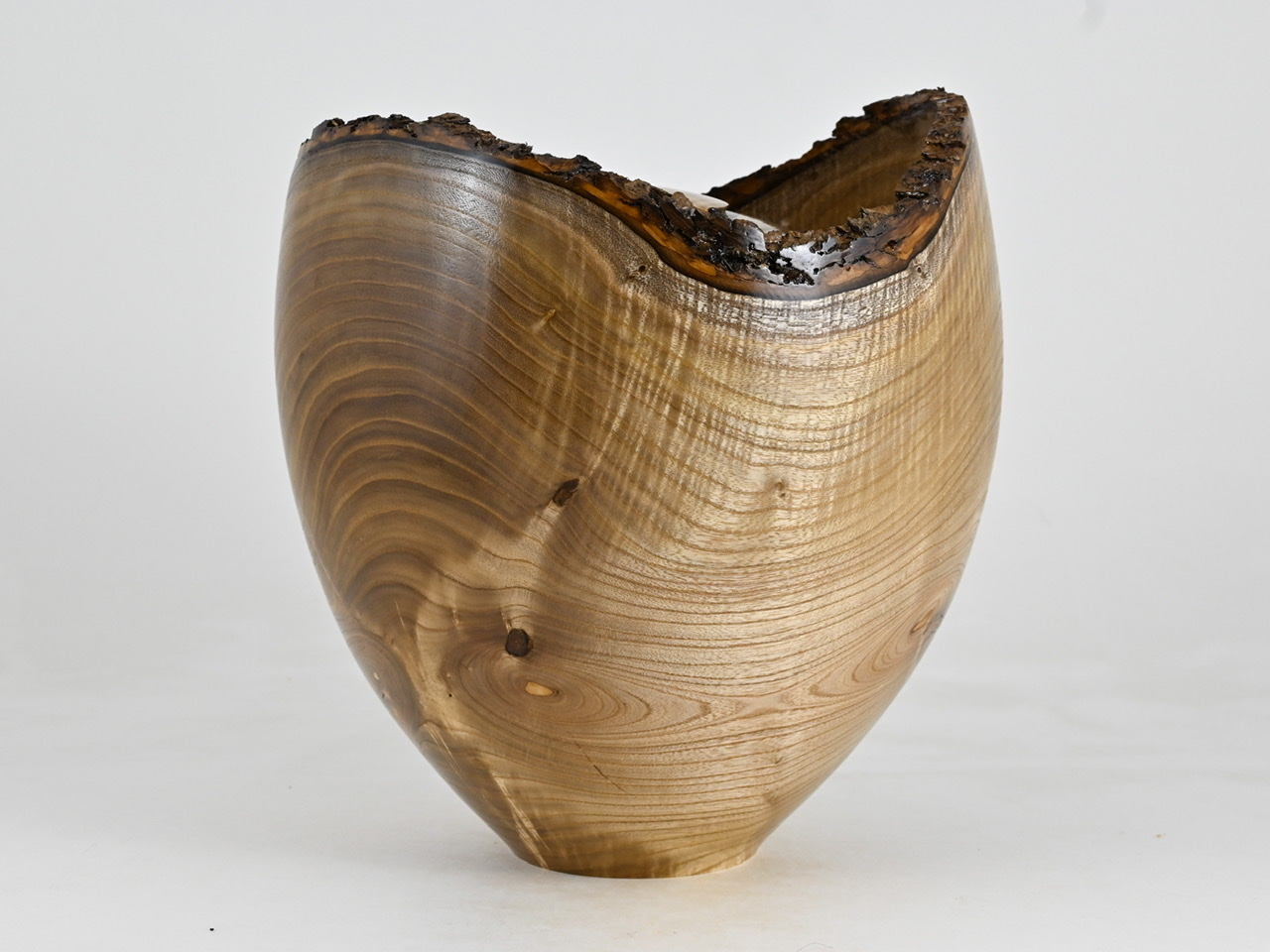 776 catalpa - 6 liter