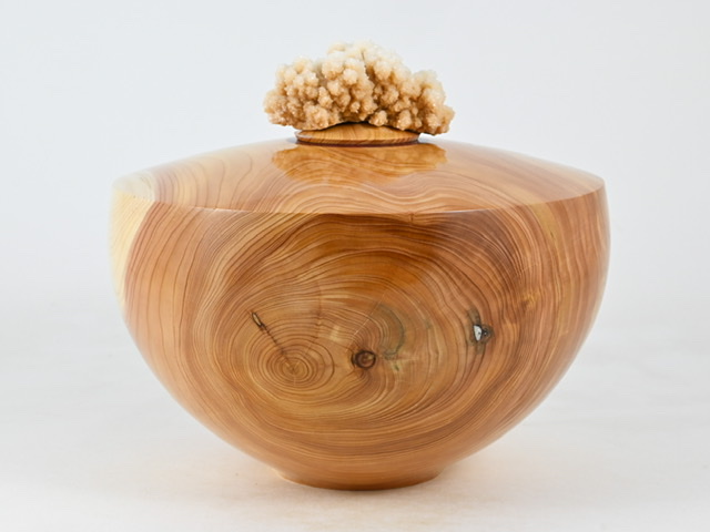 782 Juniper - 4 liter