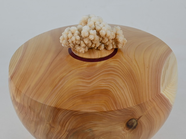 782 Juniper - 4 liter