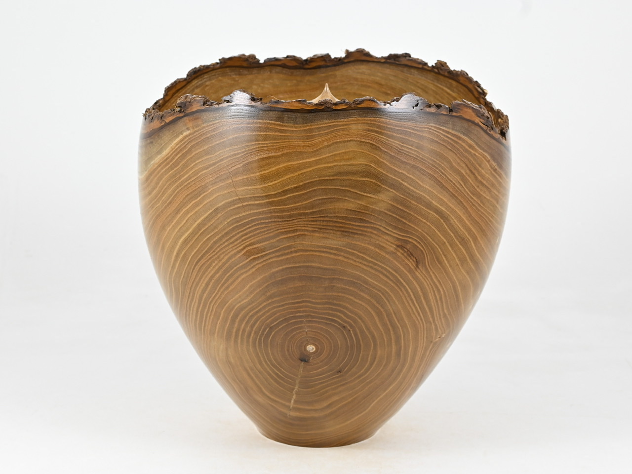 797 catalpa - 5 liter