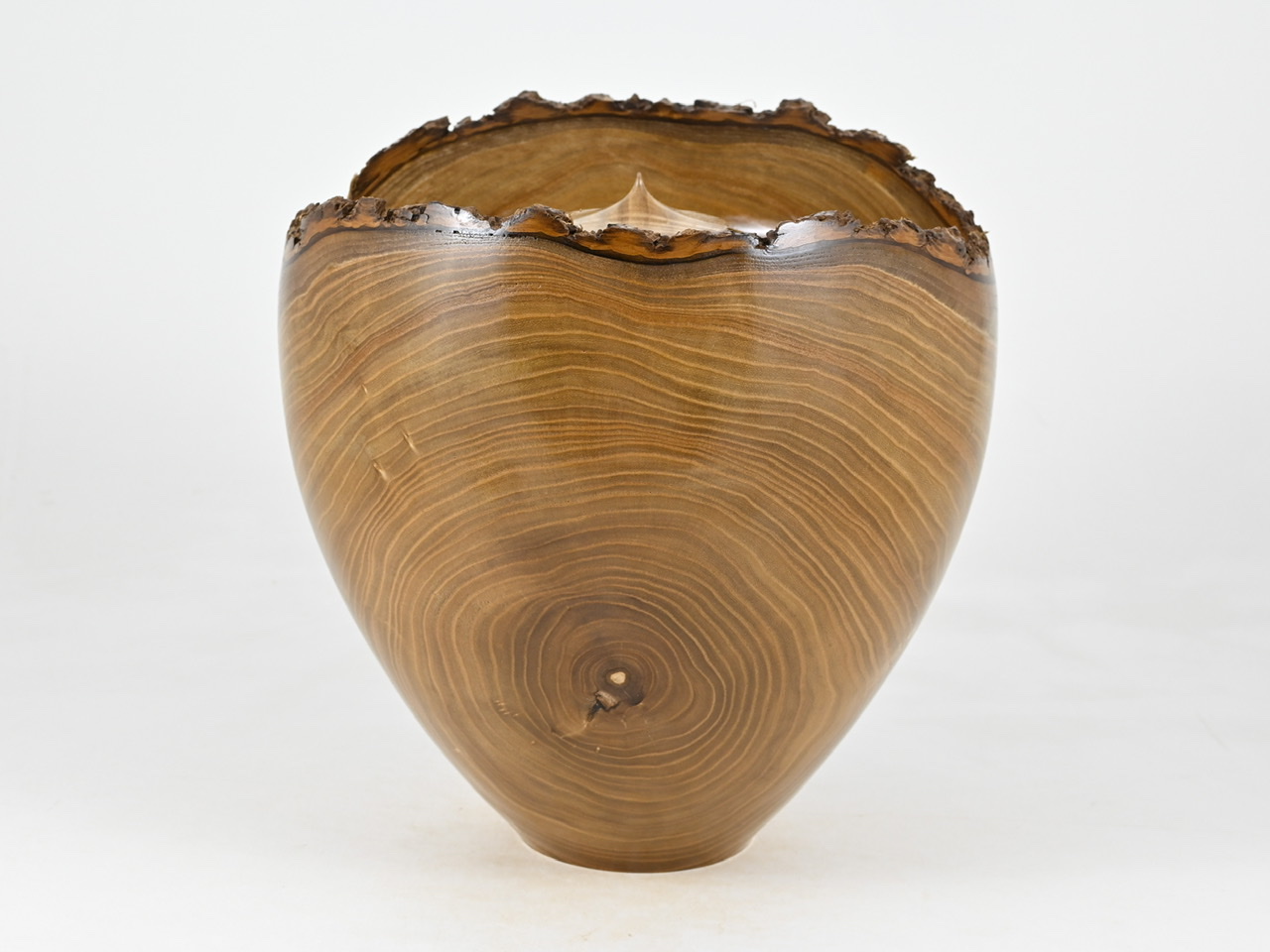 797 catalpa - 5 liter