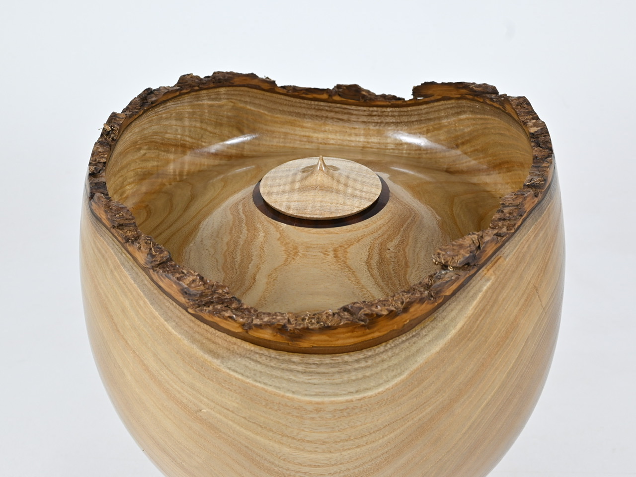 797 catalpa - 5 liter