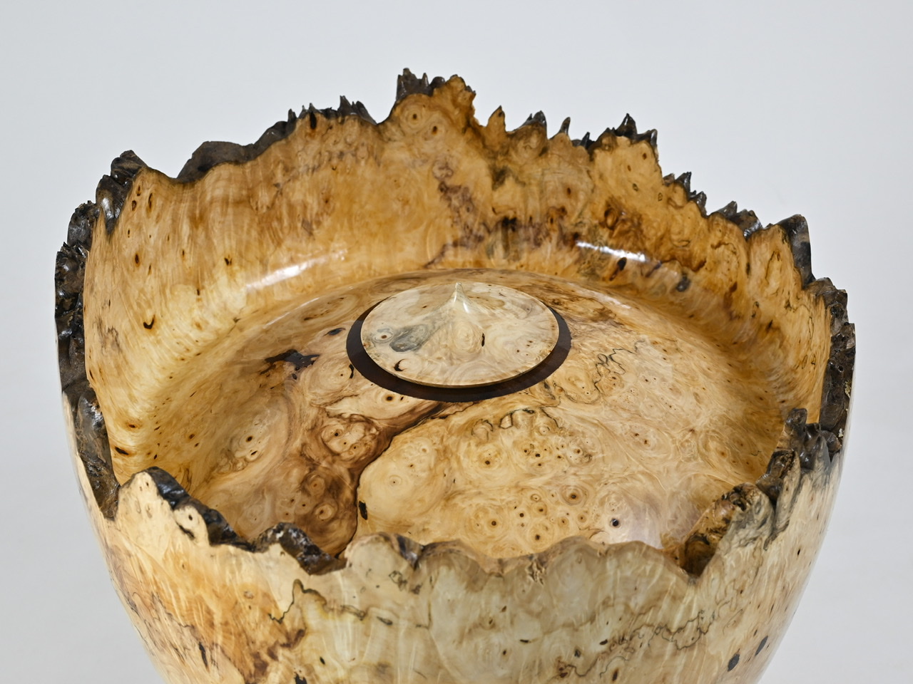 799 esdoorn - 5 liter