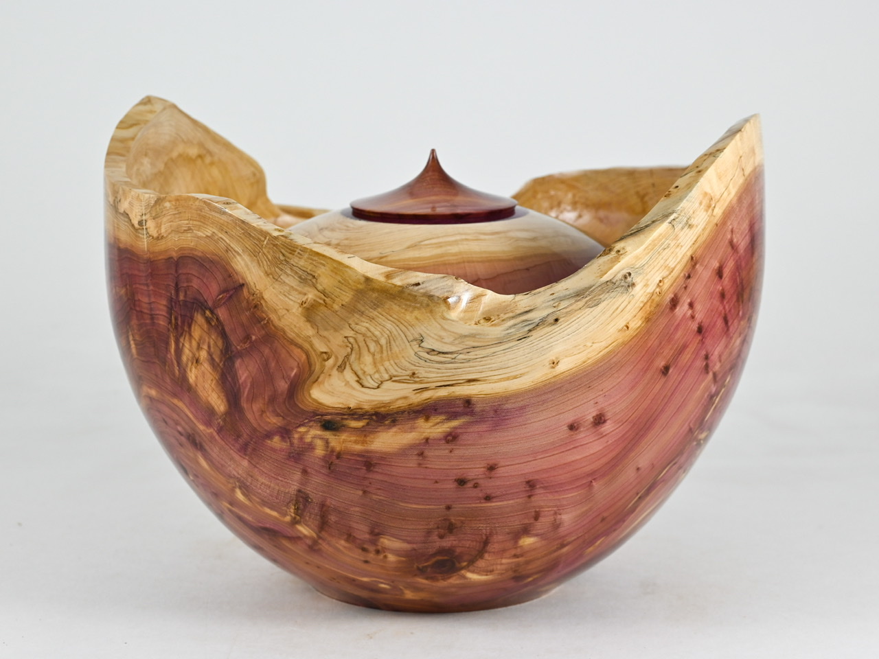 810 jeneverbes - 3 liter