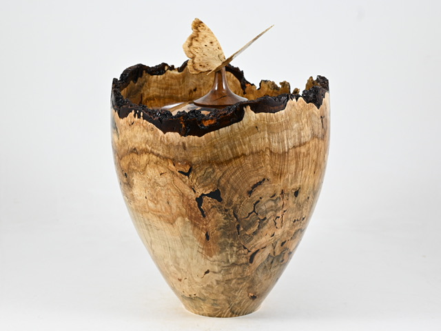 829 esdoorn - 5 liter