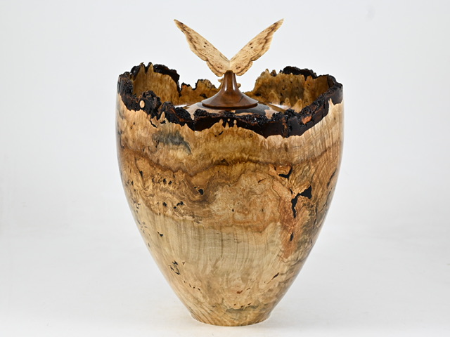 829 esdoorn - 5 liter