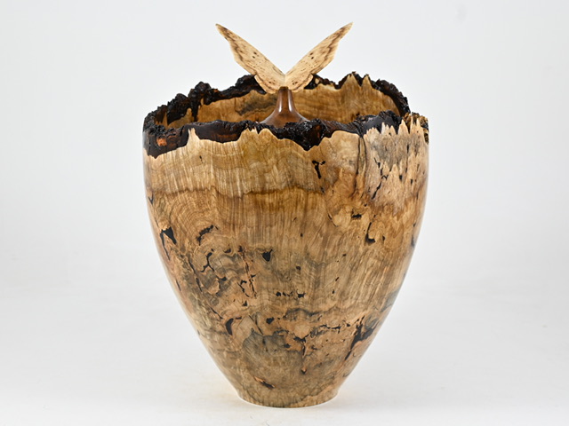 829 esdoorn - 5 liter