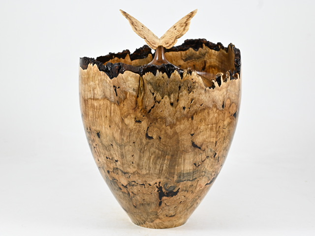 829 esdoorn - 5 liter