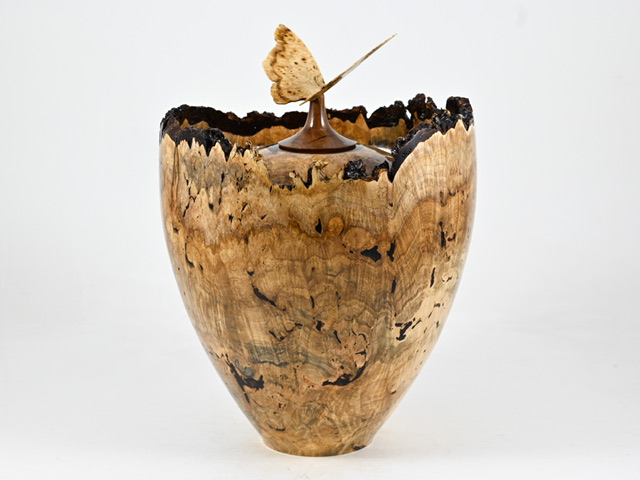 829 esdoorn - 5 liter