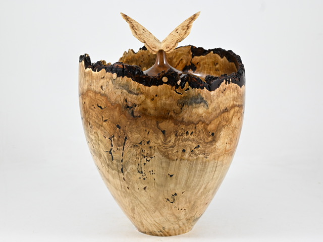 829 esdoorn - 5 liter