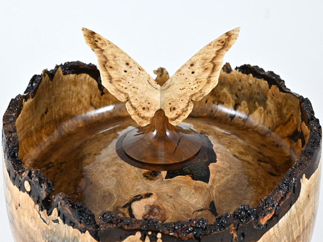 829 esdoorn - 5 liter