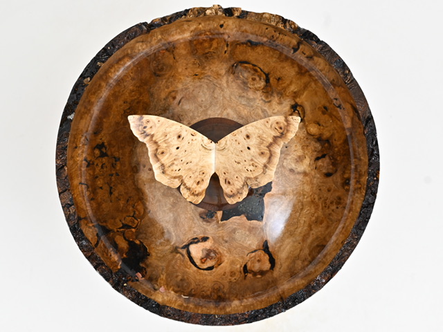 829 esdoorn - 5 liter