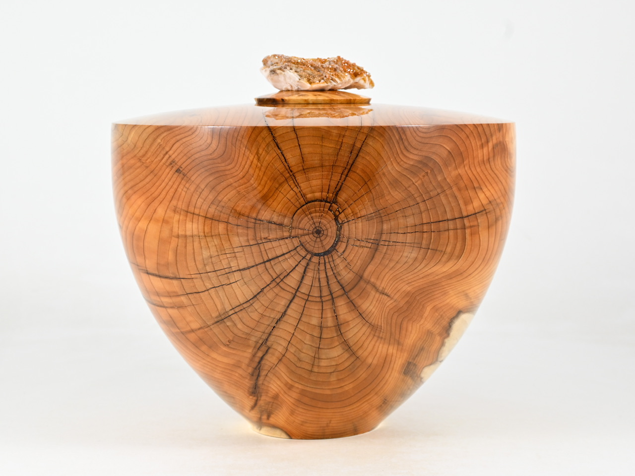 844 taxus - 3,8 liter